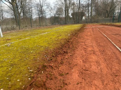 Tennisplatz Reaktivierung - vorher